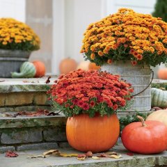 Netradiční helloweenské dekorace  |  FOTO: southernliving.com