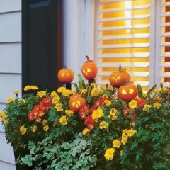 Netradiční helloweenské dekorace  |  FOTO: southernliving.com