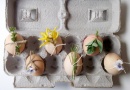 Vajíčka s rostlinami  |  Foto: rd.com