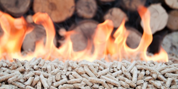 Palivo - pelety, biomasa